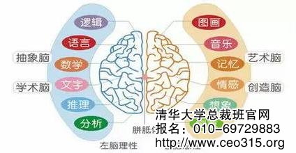 左右腦