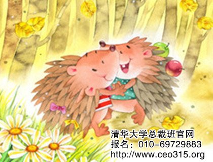 刺猬法則