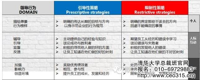 領導力發展的領域