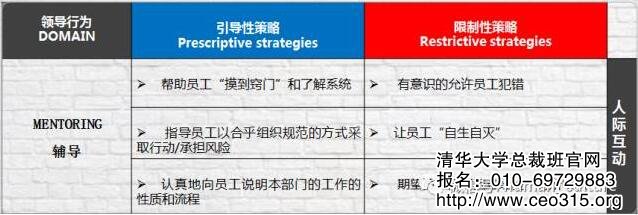 領導策略